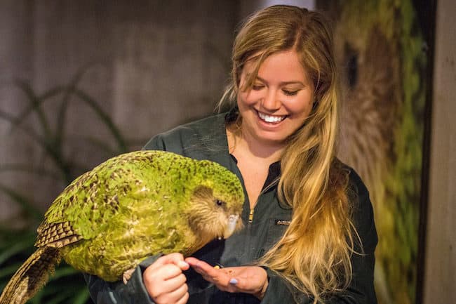 Kakapo